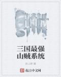 三国最强山贼系统免费阅读