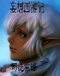 妄想西游怎么样