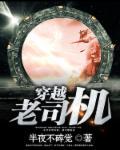 主角是老司机的
