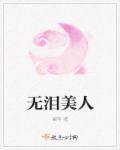 歌曲美人无泪