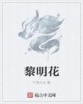 黎明花呗app