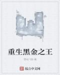 重生之黑金教父
