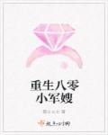 重生八零的小军嫂