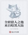 全职猎人 暗黑大陆