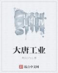 大唐工业电子公司