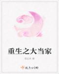 大当家免费阅读
