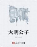 大明公词