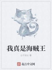 综海贼王我真是海军