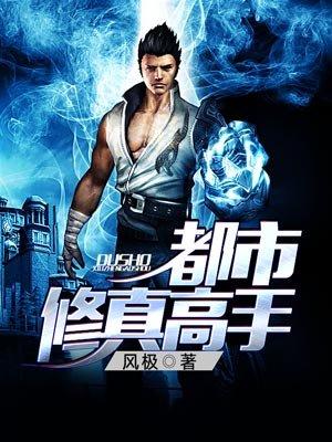 都市修真高手/叶凌风