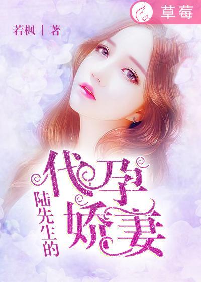 陆先生的宠妻日常免费