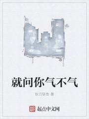 就问你气不气 全文免费