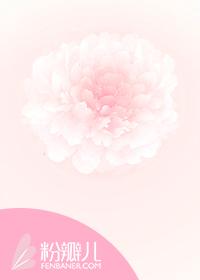 爱不言衷txt 七爷