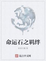 命运之石攻略