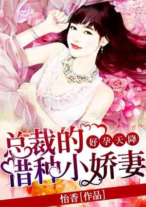 总裁借腹