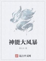 神能大风暴TXT笔趣阁