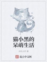 w的小黑猫