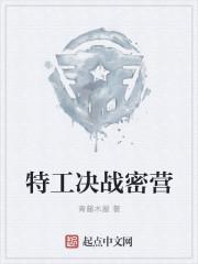 决战特工完整版