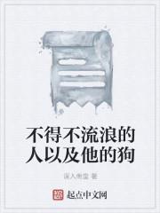 见不得流浪狗