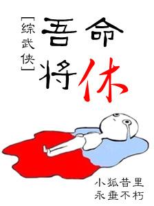 综武侠吾命将休