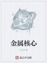 金属核是什么意思