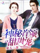 神秘首席甜宠妻+全文免费