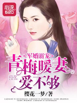 好看的军婚青梅竹马甜宠文