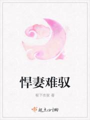 悍妻不好惹全文免费阅读