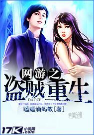 网游之盗贼重生全集