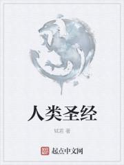 口袋妖怪漆黑的魅影金色王冠