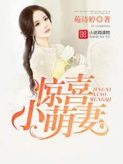 喜从妻来傲娇老公深深宠最新章节更新