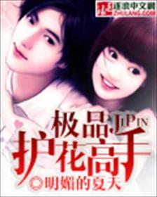 极品护花高手最新章节