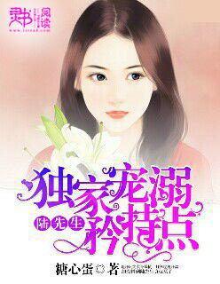 陆先生的独家甜婚笔趣阁