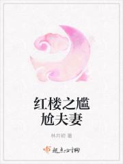 红楼之尴尬夫妻TAT