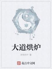 大道烘炉经是什么功法