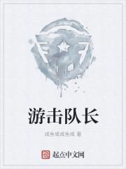 游击队长电视剧免费观看