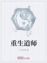重生之大唐宋师道