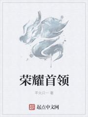 荣耀领袖在哪里设置
