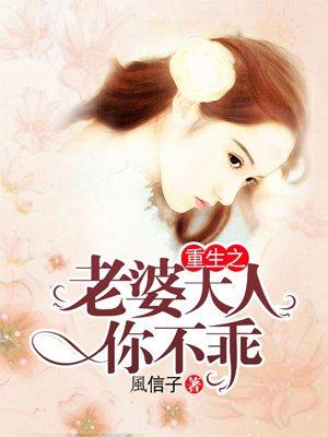 重生之我的老婆大人在线阅读