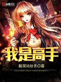 我是高手全集免费观看