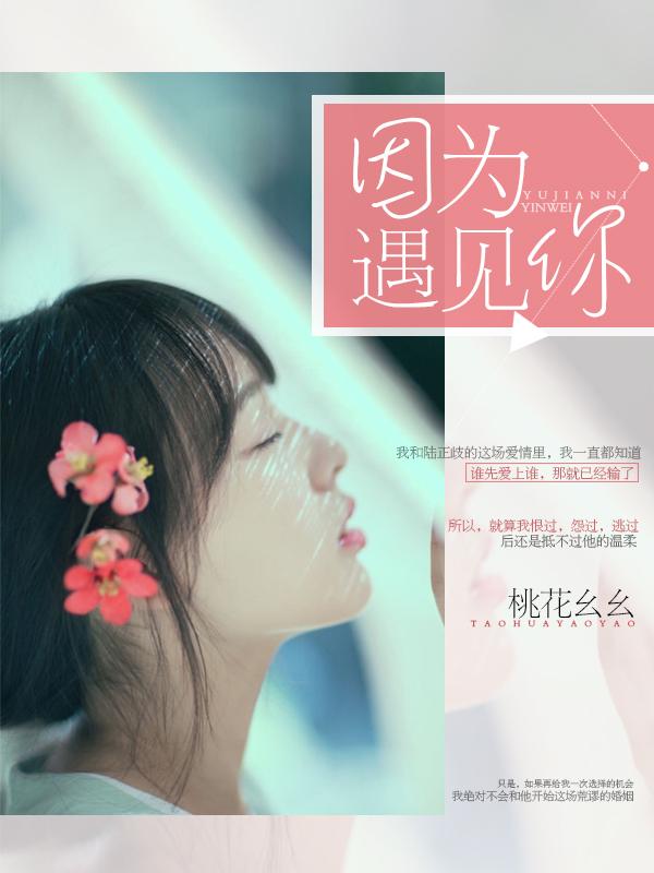 因为遇见你剧情介绍分集