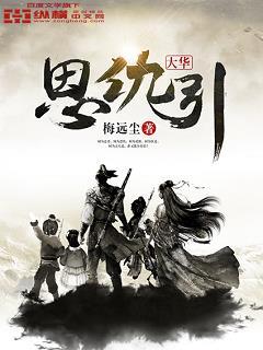 大华事件是什么