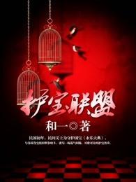 护宝联盟电视剧在线观看