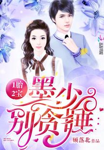 一胎两宝墨少虐妻一时爽