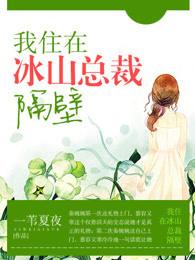 我住在冰山总裁隔壁的