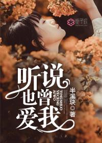 听说你也曾经爱上过他什么歌