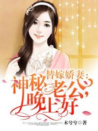 替嫁老公太神秘