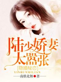 隐婚秘恋陆少娇妻太嚣张 南歌北舞