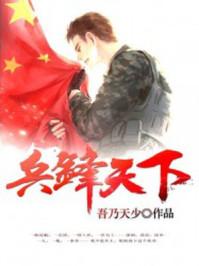 兵锋天下宁止戈