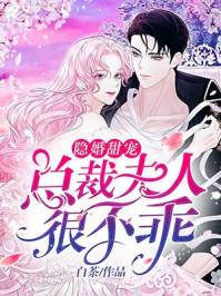 隐婚总裁不好惹