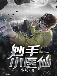 妙手小医仙笔趣阁